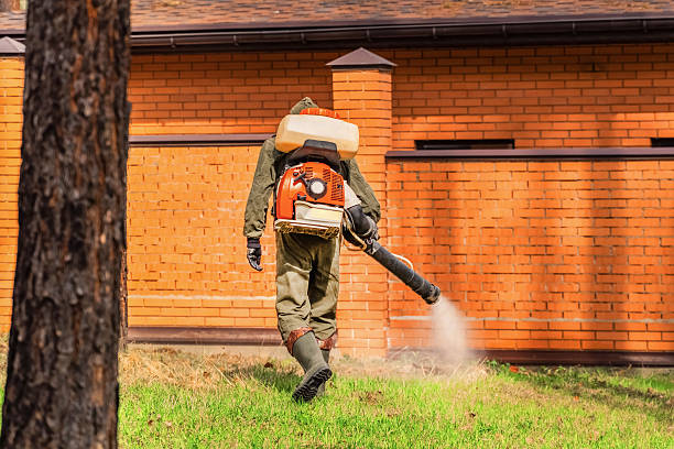 Bed Bug Clearance Verification and Documentation in Brownville
